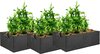 3 stuks herbruikbare grote plantenzakken, plantengroeizakken, plantenzakken, plantenbakken, potten, thuis, tuin, voor aardappelen, tomaten, wortel, zwart (40 x 30 x 20 cm)