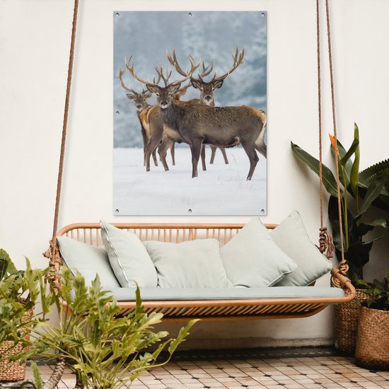 Affiche jardin - Toile jardin - Posters de jardin extérieur - Cerf - Animaux - Neige - Hiver - Paysage - Nature - 90x120 cm - Jardin