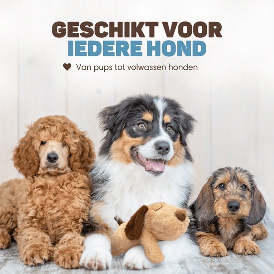 Drie honden, van pup tot volwassen, zitten voor een knuffelhondje.