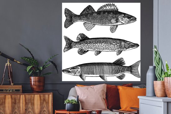 Sticker Muursticker Illustration Pêche - trois poissons - 120x120 cm - film adhésif autocollant - sticker mural repositionnable XXL /