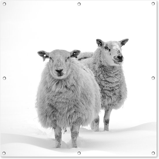 Torchon de jardin Mouton - Neige - Wit - 100x100 cm