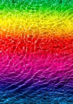 Submerged Rainbow - Puzzel - 1000 Stukjes