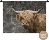 Wandkleed - Wanddoek - Schotse hooglander - Wereldkaart - Dieren - 60x45 cm - Wandtapijt