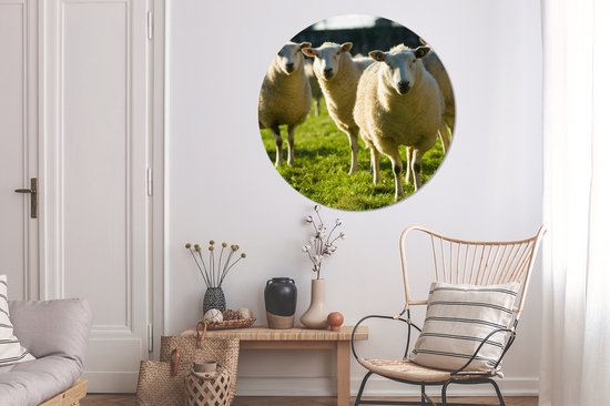 WallCircle - Wall Circle - Wall Circle Indoor - Moutons - Animaux - Laine - 150x150 cm - Décoration murale - Peintures Ronds