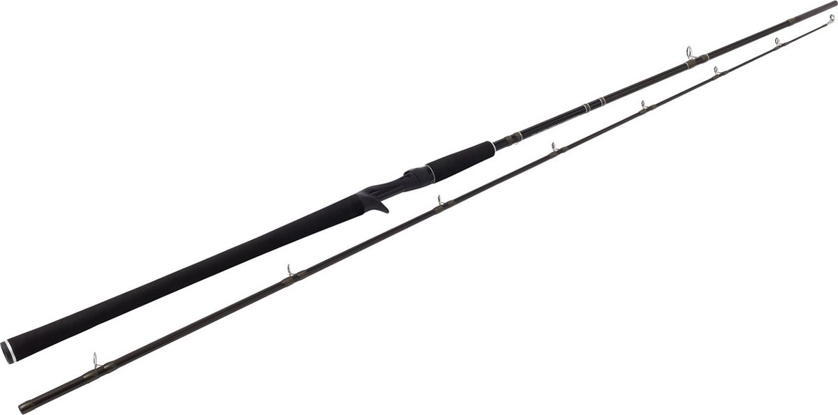 Westin W2 Powercast-T 248cm XH 20-80gr