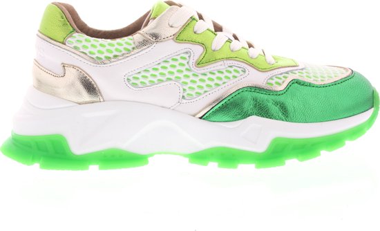 Dames Sneakers Dwrs Chester White/green Groen - Maat 38