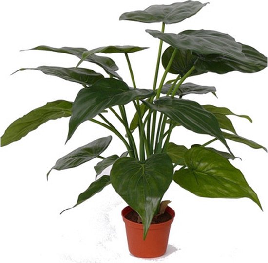 Kunstplant alocasia olifantsoor - groen - H51 cm - Groene huis of kantoor nepplanten