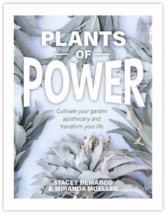 Plants of Power - cover