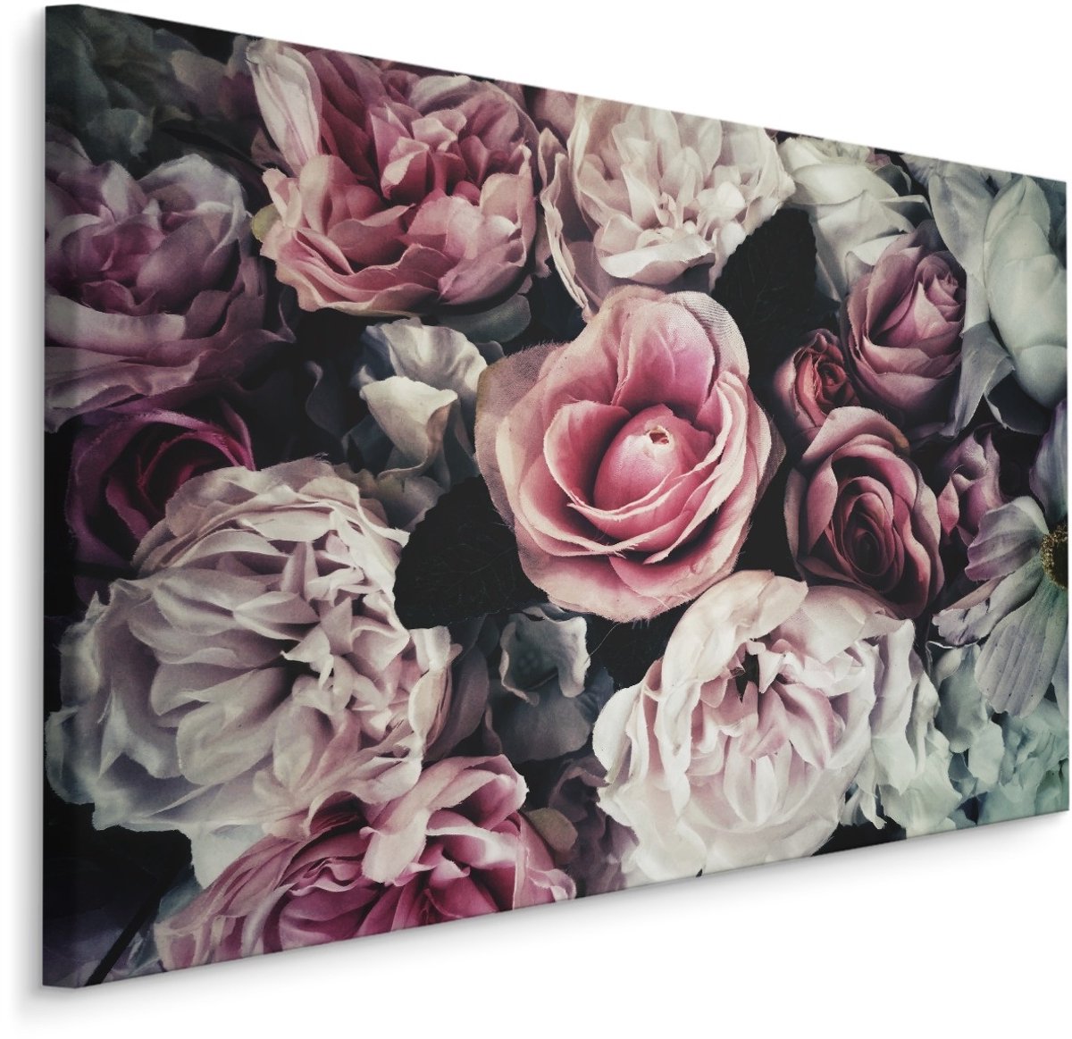 karo-art Schilderij - Vintage roze rozen, 4 maten, premium print Multikleur