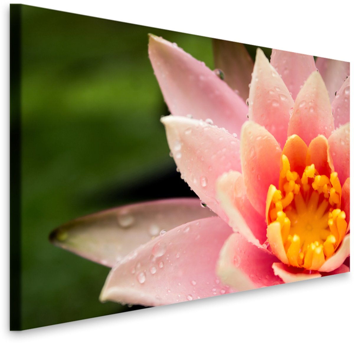 karo-art Schilderij - Lotusbloem in close up, premium print, 2 maten, Inspiratie, voor woonkamer , slaapkamer en praktijkruimte Multikleur