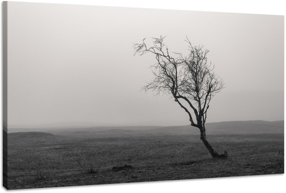 karo-art Schilderij - Eenzame Boom in zwart/wit, Premium Print, Wanddecoratie Multikleur