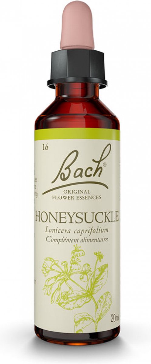 Goedkoopste Fleurs de Bach Original Kamperfoelie 20 ml