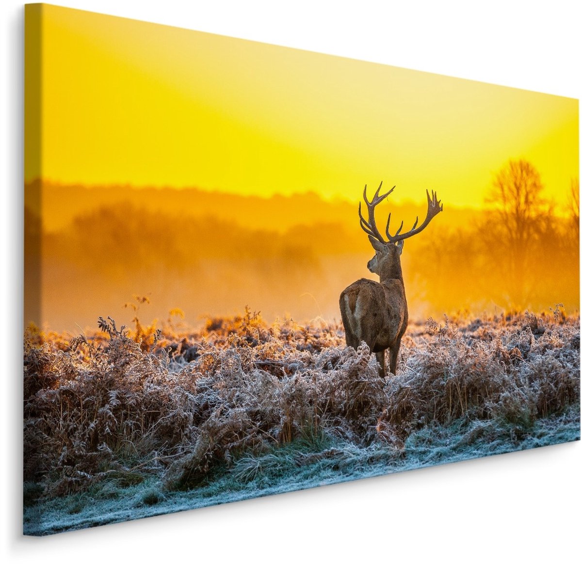 karo-art Schilderij - Hert in dauw, multi-gekleurd, 4 maten, premium print Multikleur