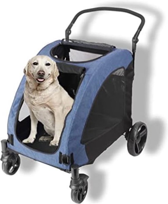 Chien en poussette sale