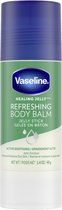 Vaseline Jelly Stick Balm - Active Soothing - Body - Revive & Restore - Huid - Gezicht - Lippen - Refreshing