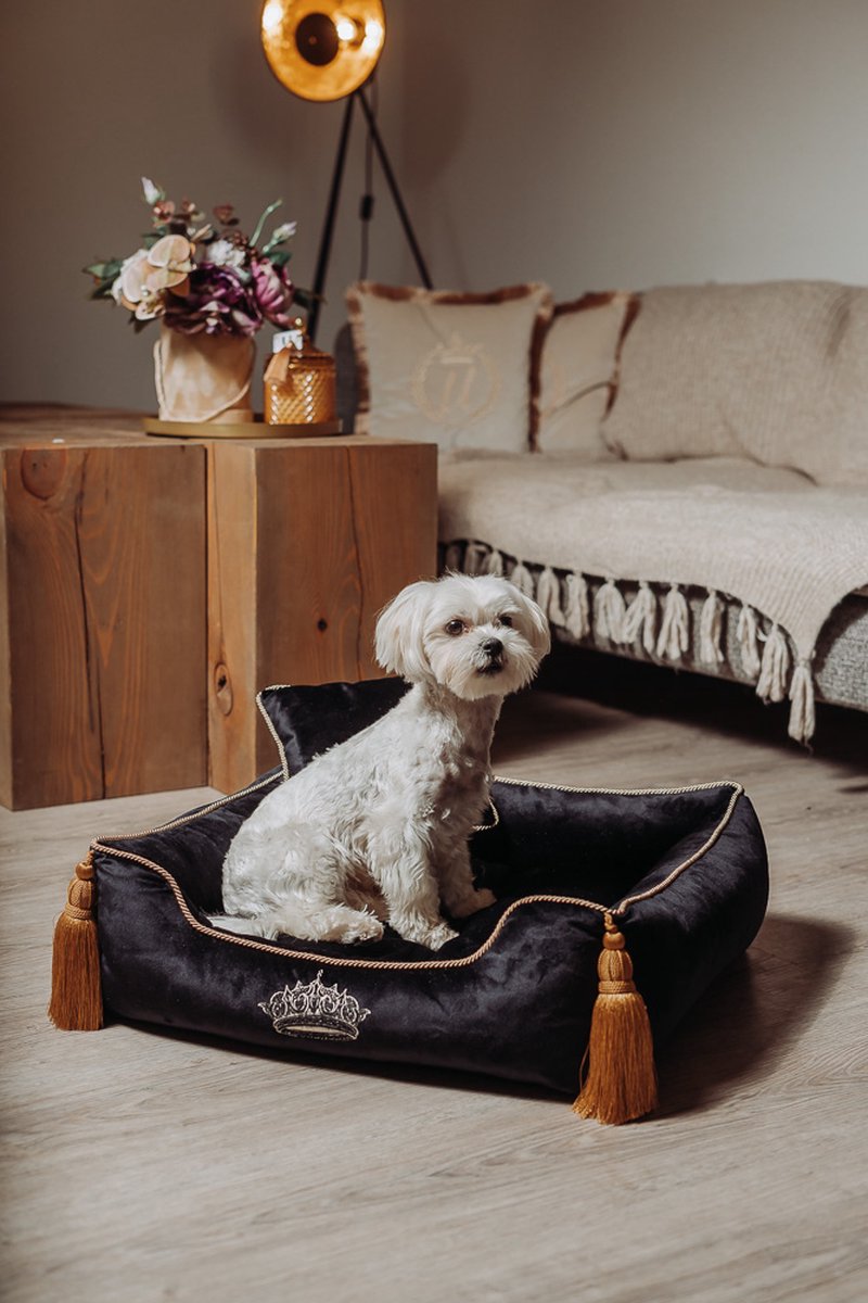 Luxe fluwelen vierkant huisdierenbed - Hondenbed - Velvet Dog Bed - Wasbaar - Zwart M
