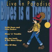 Various Artists - Blues Is A Tramp (Live In Paradiso) (2 CD)