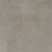 Terratinta Stone Design vloertegel gerectificeerd 60x60cm cinnamon