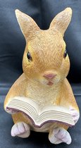 Decoratief polyresin dier met boek "zittend konijn" - bruin - hoogte 16x11x9 cm - Voor binnen of buiten - Tuinaccessoires - Woonaccessoires - Decoratieve beeldjes