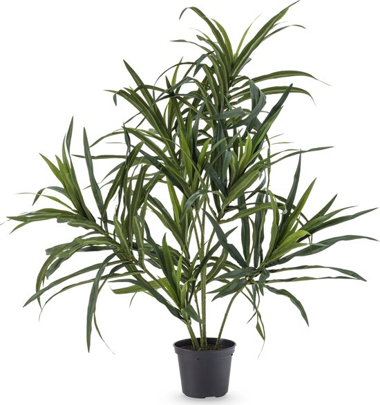 Kunstplant Dracaena Reflexa in pot 63 cm