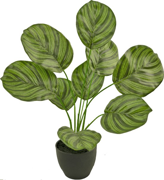 Kunstplant Longfolia 150 cm -Easyplants Kunstplanten