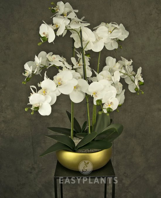 Greenmoods Kunstplanten - Kunstbloem - Orchidee - Wit - 65 cm - In gouden schaal