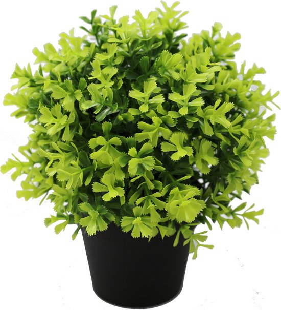 Plante artificielle Romarin 22cm UV - pour l'intérieur et l'extérieur