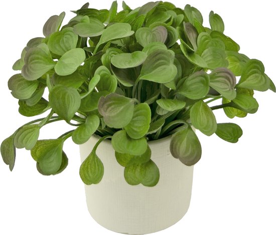 Greenmoods Plantes artificielles - Plante artificielle - Plante succulente - En pot décoratif - 22 cm