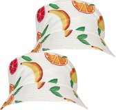Guirca Verkleed hoedje voor Tropical Hawaii party - 2x - zomers fruit print - volwassenen - Carnaval