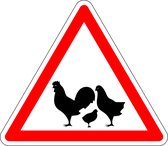 Pas op voor kippen bord - kunststof 100 mm