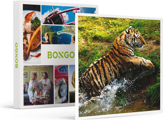 Bongo Bon - DAGJE SAFARIPARK BEEKSE BERGEN NABIJ TILBURG VOOR HET GEZIN - Cadeaukaart cadeau voor man of vrouw