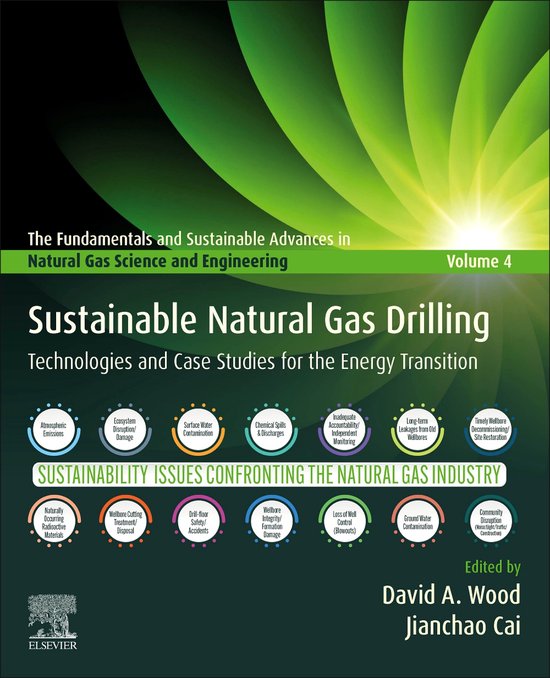 The Fundamentals and Sustainable Advances in Natural Gas Sci ... - cover