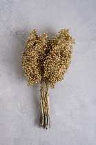 Couronne - Decoratiemateriaal 'Pepperberry' (200gr, Gold)