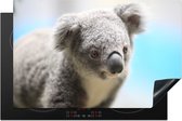 KitchenYeah® Inductie beschermer 80x52 cm - Koala - Portret - Dier - Kinderen - Jongens - Meiden - Kookplaataccessoires - Afdekplaat voor kookplaat - Inductiebeschermer - Inductiemat - Inductieplaat mat