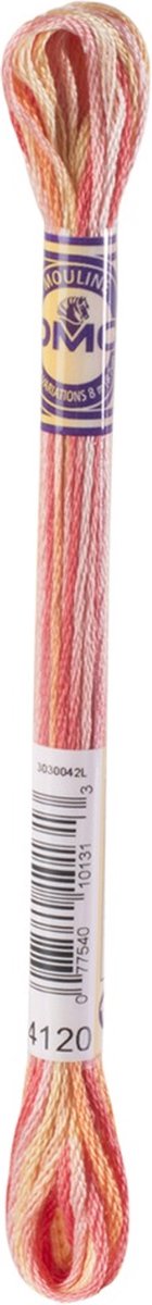 6 x DMC 4120 Mouliné Color Variations borduurgaren