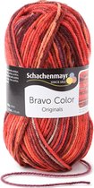 Schachenmayr Bravo Color 50 Gram - 2087