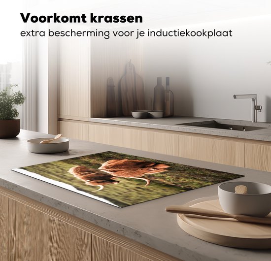 KitchenYeah® Inductie beschermer 76x51.5 cm - Koeien - Gras - Zon - Kookplaataccessoires - Afdekplaat voor kookplaat - Inductiebeschermer - Inductiemat - Inductieplaat mat