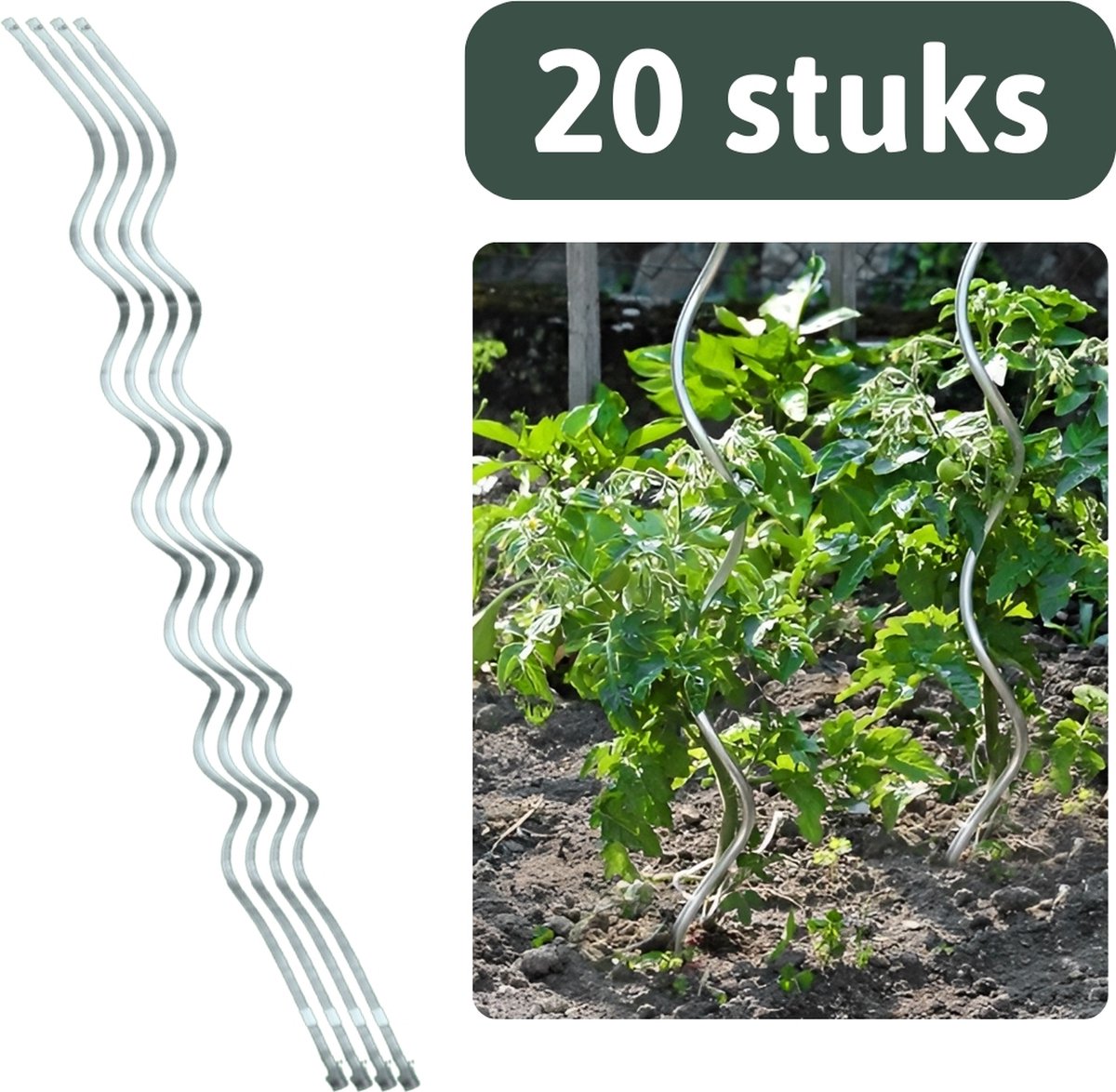 Famiflora tomatenspiraal 1M50 (150 cm) - set van 20 stuks - Gegalvaniseerde tomatenspiralen - 6mm dikte - Houdt zware tomatentrossen overeind