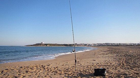 Traxis Surf Stand 110cm van Traxis — afbeelding 3
