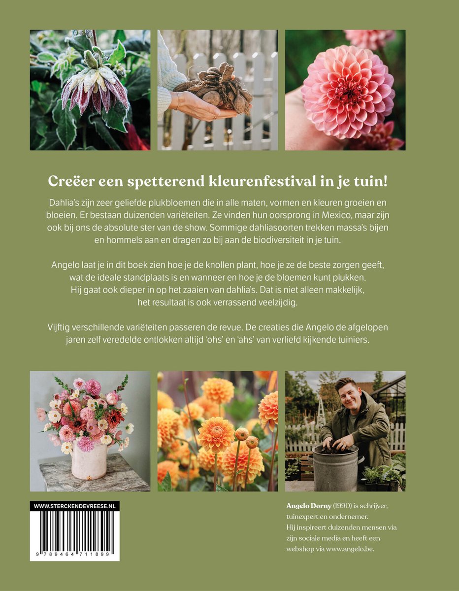 Dahlia — cadeau in Boeken - foto 2