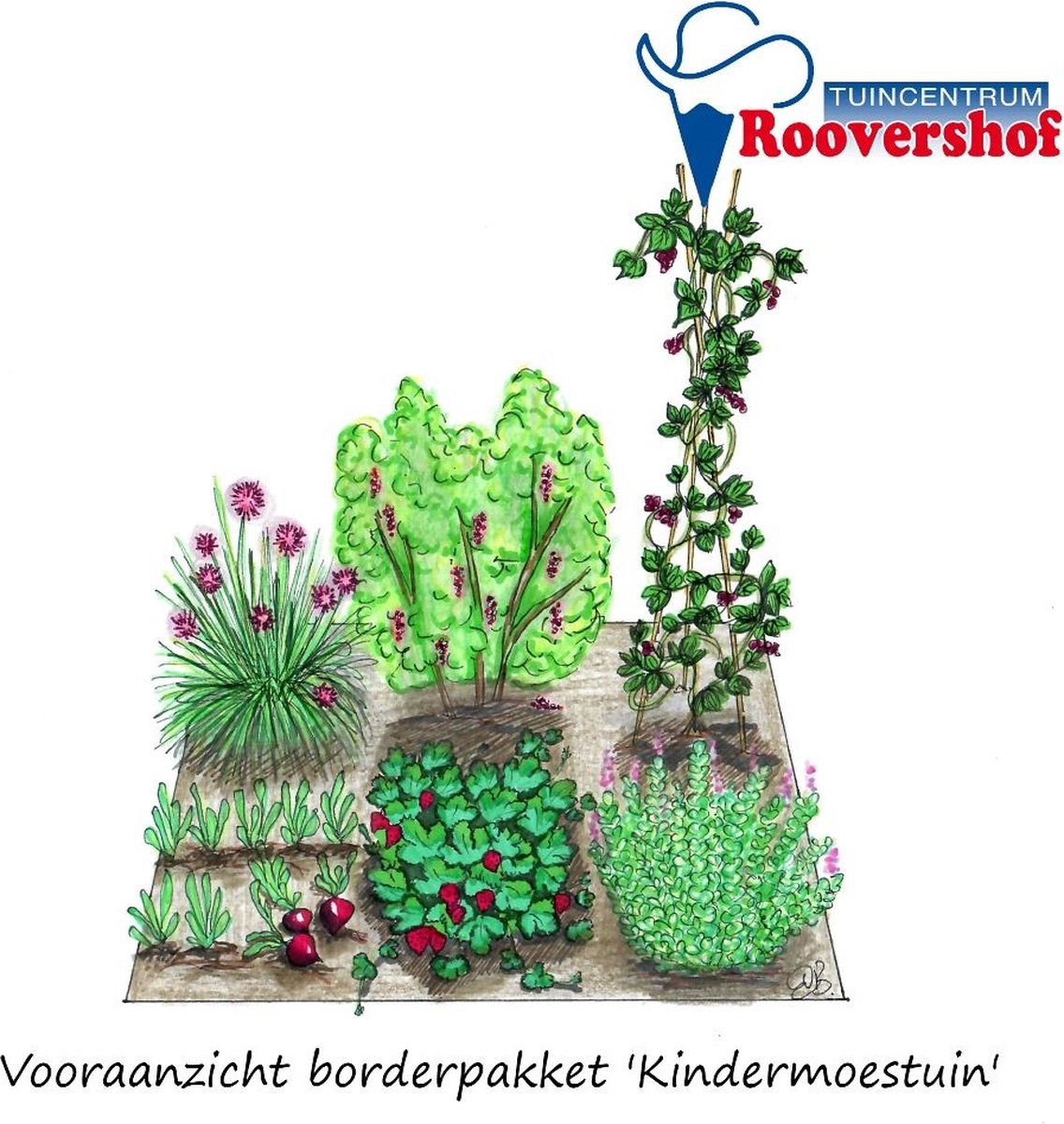 Borderpakket 'Kindermoestuin' - kweek je eigen fruit, groenten en kruiden - 2 m²