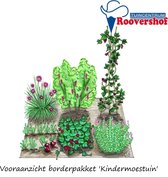 Borderpakket 'Kindermoestuin' - kweek je eigen fruit, groenten en kruiden - 2 m²