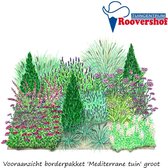 Borderpakket 'Mediterrane tuin' groot - phlox, salie, pampasgras en meer - 47 planten - 6 m²