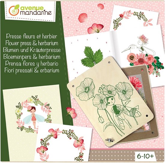 Foto: Plantenpers 20 5 x 15 cm planten drogen bloemen drogen