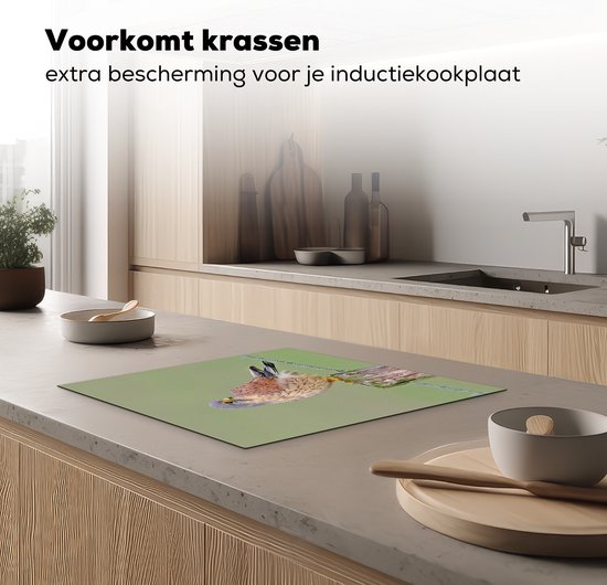 Een torenvalk zit op een houten paaltje met prikkeldraad, op een aanrecht.