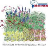 Borderpakket 'Opvallende bloemen' - onderhoudsarm - 32 planten - 6 m²