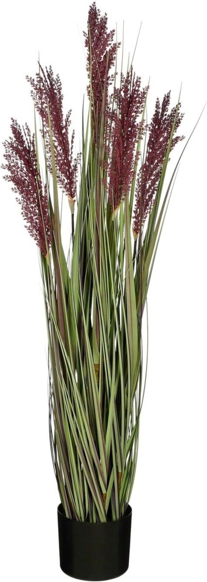 Mica Decorations Kunstplant Tarwe - 30x30x115 cm - PVC - Paars