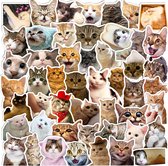 stickers Kat - stickervellen - kinderen - 50 stickers- motivatie stickers voor kinderen - laptop stickers - schoolspullen - kinderstickers
