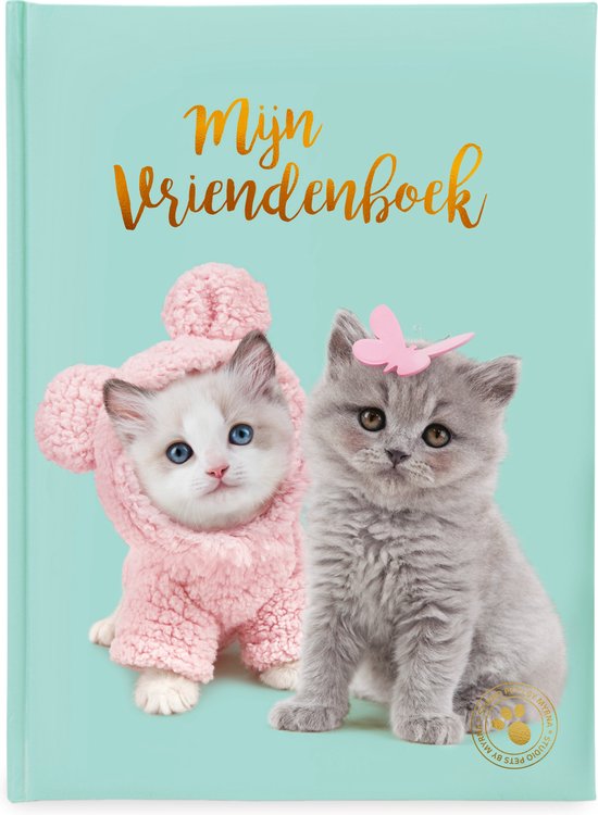 Foto: Studio pets kittens vriendenboek ragdoll mousie en britse langhaar missy editie