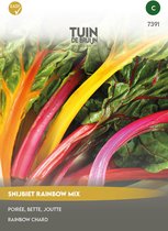 Tuin de Bruijn® zaden - Snijbiet Rainbow mix - lekker, gezond en kleurrijk - ca. 10 zaden